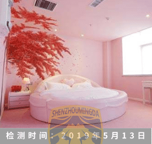 主题酒店反偷拍检测
