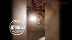 夫妻租房半年后，发现卫生间竟藏有摄像头